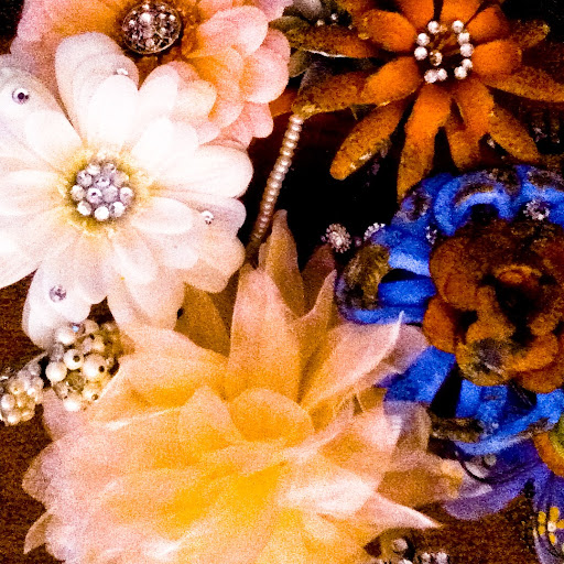 Rachelle Erickson Photo 10