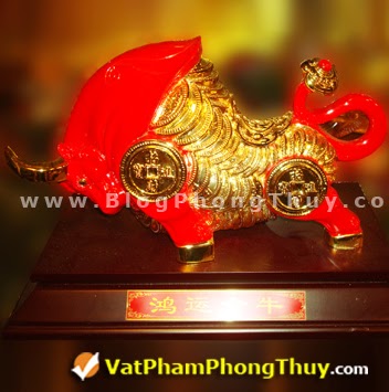 Dung Vo Photo 33