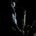 Brian Foley Photo 46