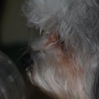 Samantha Bean Photo 28