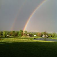 Cindy Reece Photo 11