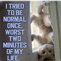 Kimberly Eckhoff Photo 10