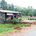 Tinh Ha Photo 10