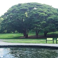 Katherine Jennings Photo 9