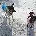 Vicki Jenkins Photo 11