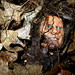 Ken Pierce Photo 11