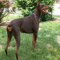 Nancy Worley Photo 14