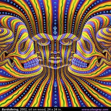 Matthew Morse Photo 20