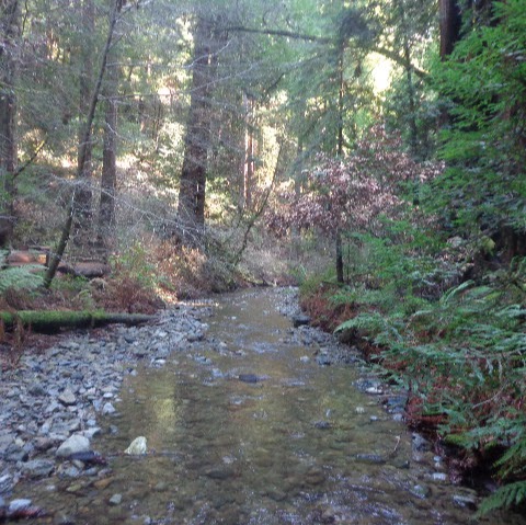 Donald Moore Photo 19 Donald Moore Photo 19