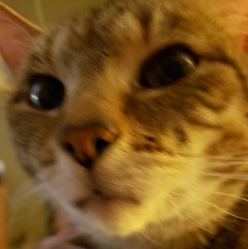 David Hartman Photo 8 David Hartman Photo 8