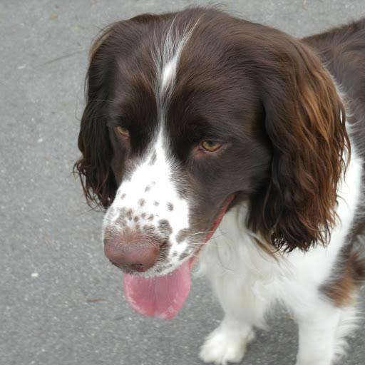 Nicolas Bautista Photo 21 Nicolas Bautista Photo 21