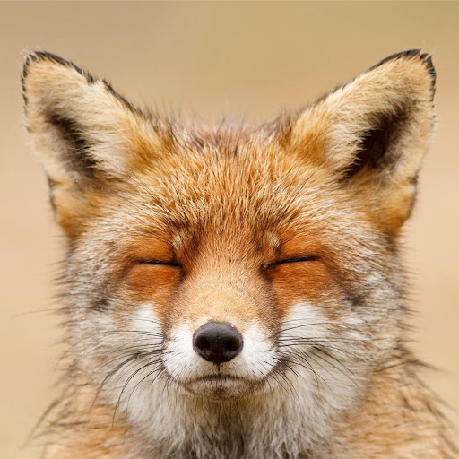 Rick Stokes Photo 37