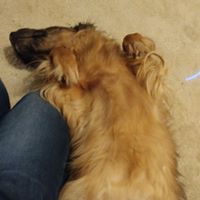 David Wertz Photo 22