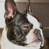 Bruce Shepard Photo 29 Bruce Shepard Photo 29