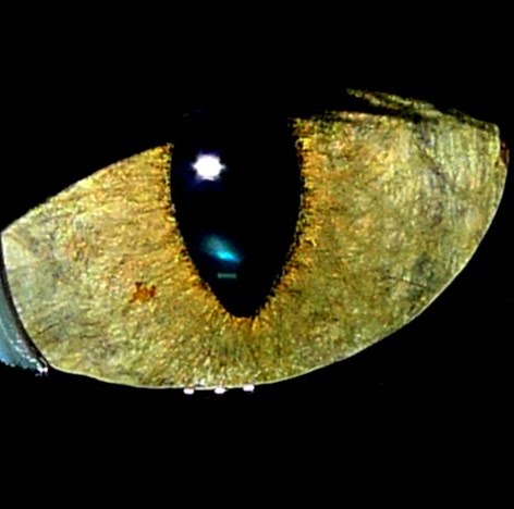 Anna Mercer Photo 15