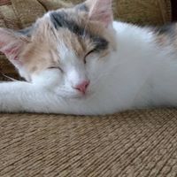 Tracey Willis Photo 38