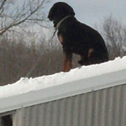 Nancy Frederick Photo 21