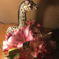 Traci Silva Photo 18