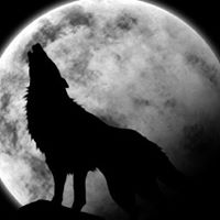 Stephen Wolf Photo 23