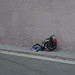 Chris Daley Photo 25