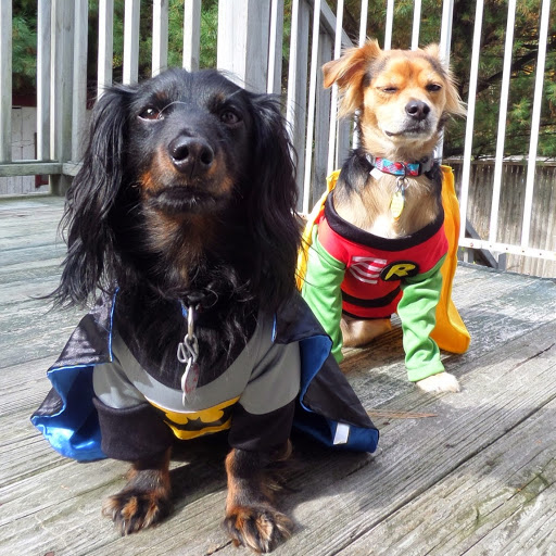 Julianne Johnson Photo 13