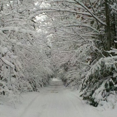 Kenneth Graff Photo 19