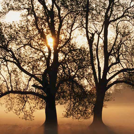 Evelyn Lucas Photo 7