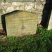 David Greenfield Photo 61