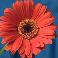 Keri Patterson Photo 20