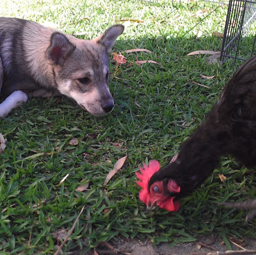 Diane Rowland Photo 27