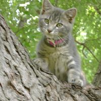 Sheryl Lang Photo 14