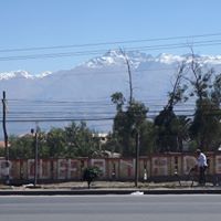 Paul Burrow Photo 27