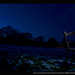 Robin Hutchins Photo 45