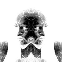 David Tingle Photo 32