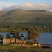 Kerry Mccarthy Photo 14
