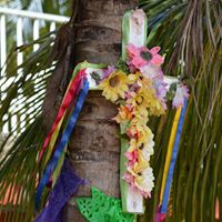 Debra Weeks Photo 12