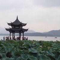 Cui Chen Photo 6
