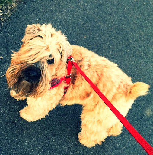 Rowan Johnson Photo 14