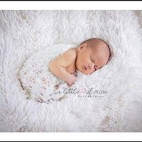 Dean Reynolds Photo 29