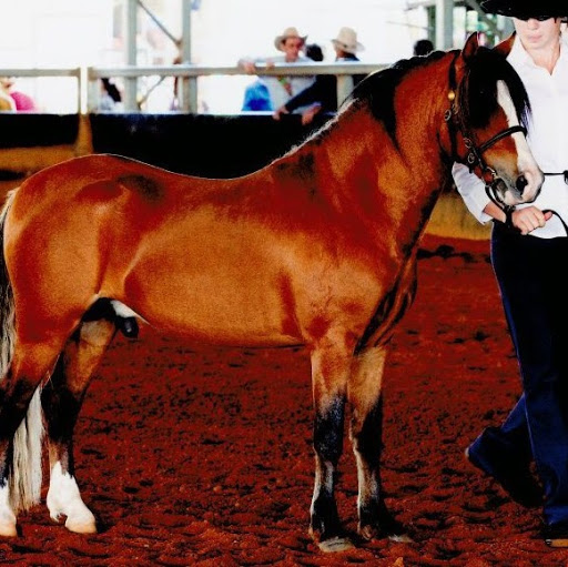 Catherine Wise Photo 16