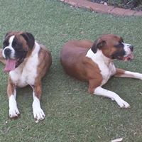 Jeremy Holbrook Photo 11