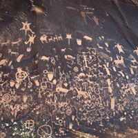 Robert Richie Photo 35