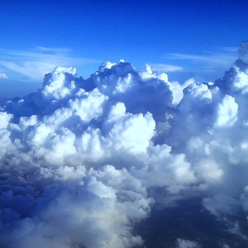 Nicole Handy Photo 4