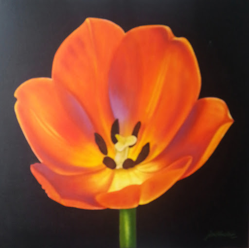 Jan Sinclair Photo 28