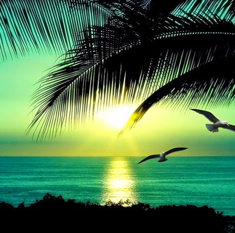 Lorena Jones Photo 7