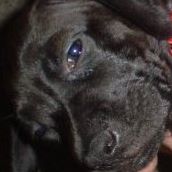 Tracey Haney Photo 13