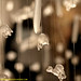 Teresa Becker Photo 8