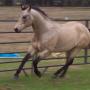 Linda Ratliff Photo 20