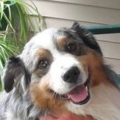 Bonnie Cain Photo 22