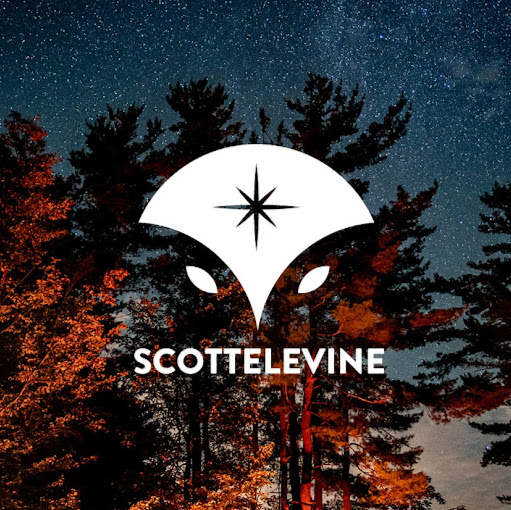 Scott Levine Photo 35